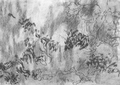 Gardenscapes, Kohle auf Papier, 21 × 30 cm, 2017 