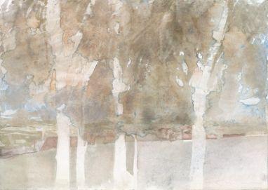 Arbres d'hiver, 1983, Aquarell, 35,5 x 49,5 